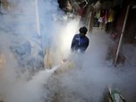 Waspada Penyakit Mematikan Lain di Tengah Pandemi, DBD!
