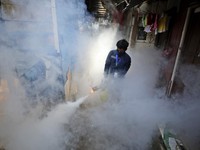 Waspada Penyakit Mematikan Lain di Tengah Pandemi, DBD!