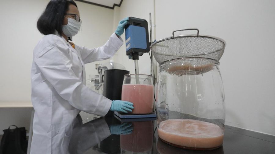 Lembaga Ilmu Pengetahuan Indonesia (LIPI) Puspitek, Tangerang Selatan, Banten terus berinovasi mengembangkan produk yang bermanfaat untuk menghadapi pandemi Covid-19 di Indonesia. Di antaranya, dengan memproduksi suplemen untuk daya tahan tubuh. Jumat (10/7/20). CNBC Indonesia/Tri Susilo