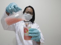 Jus Jambu Biji Buat Daya Tahan Tubuh dari Virus Corona