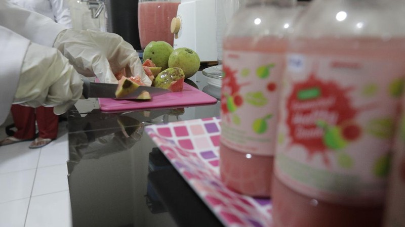 Lembaga Ilmu Pengetahuan Indonesia (LIPI) Puspitek, Tangerang Selatan, Banten terus berinovasi mengembangkan produk yang bermanfaat untuk menghadapi pandemi Covid-19 di Indonesia. Di antaranya, dengan memproduksi suplemen untuk daya tahan tubuh. Jumat (10/7/20). CNBC Indonesia/Tri Susilo
