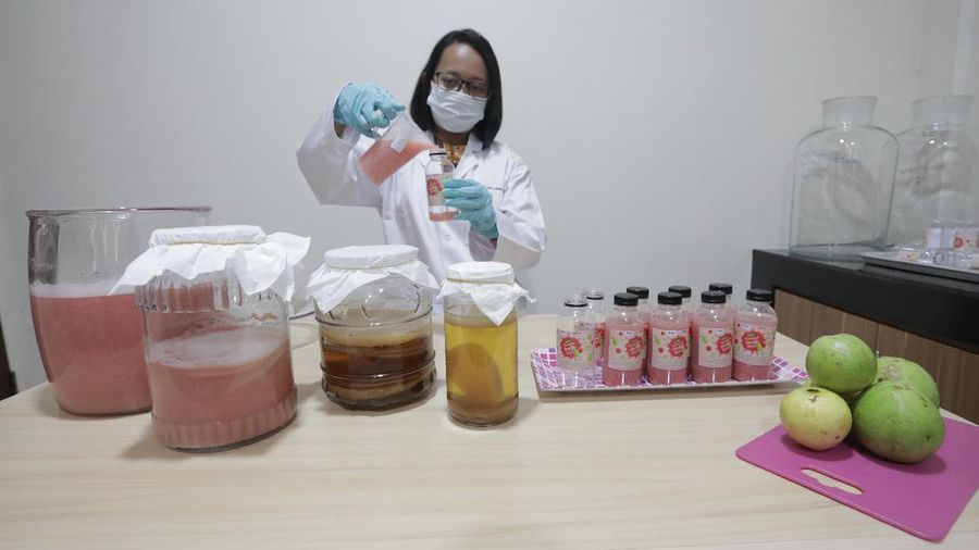 Lembaga Ilmu Pengetahuan Indonesia (LIPI) Puspitek, Tangerang Selatan, Banten terus berinovasi mengembangkan produk yang bermanfaat untuk menghadapi pandemi Covid-19 di Indonesia. Di antaranya, dengan memproduksi suplemen untuk daya tahan tubuh. Jumat (10/7/20). CNBC Indonesia/Tri Susilo