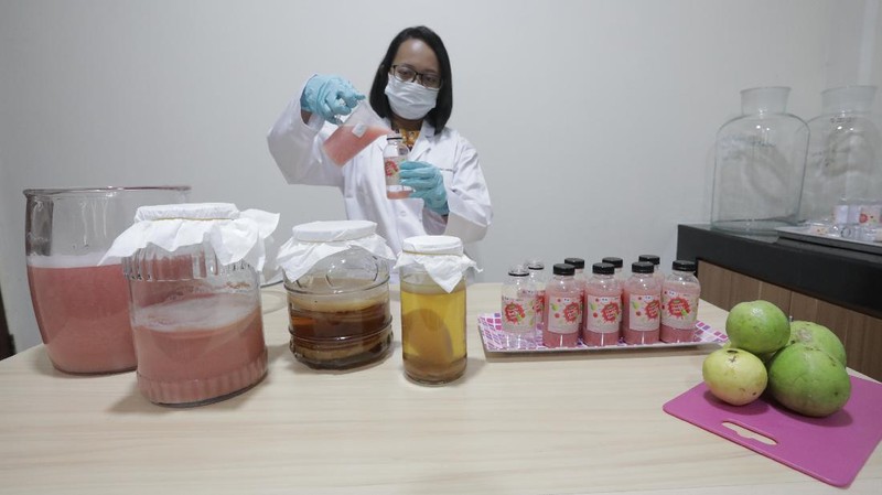 Lembaga Ilmu Pengetahuan Indonesia (LIPI) Puspitek, Tangerang Selatan, Banten terus berinovasi mengembangkan produk yang bermanfaat untuk menghadapi pandemi Covid-19 di Indonesia. Di antaranya, dengan memproduksi suplemen untuk daya tahan tubuh. Jumat (10/7/20). CNBC Indonesia/Tri Susilo