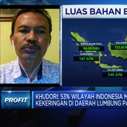 Ini Syarat Agar Program Food Estate Jokowi Bisa Berhasil