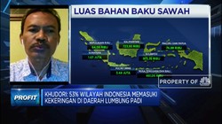 Ini Syarat Agar Program Food Estate Jokowi Bisa Berhasil