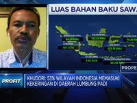 Ini Syarat Agar Program Food Estate Jokowi Bisa Berhasil