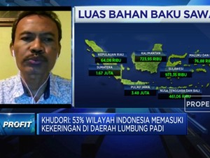 Ini Syarat Agar Program Food Estate Jokowi Bisa Berhasil