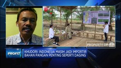 Jadi Importir Pangan, RI Harus Jaga Pasokan Komoditas Ini