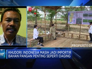 Jadi Importir Pangan, RI Harus Jaga Pasokan Komoditas Ini
