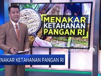 Menakar Ketahanan Pangan RI