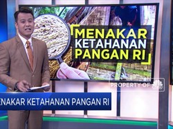 Menakar Ketahanan Pangan RI