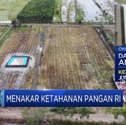 Percepat Program Food Estate, Prabowo Kerahkan Prajurit TNI