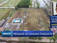 Percepat Program Food Estate, Prabowo Kerahkan Prajurit TNI
