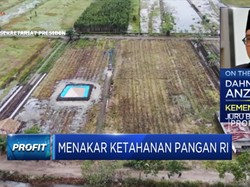 Percepat Program Food Estate, Prabowo Kerahkan Prajurit TNI