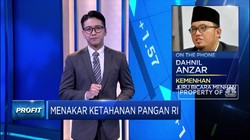 Prabowo Pimpin Pengembangan Food Estate Kalteng, Ini Tugasnya