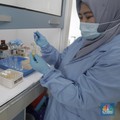 Thailand Pakai Sambiloto Obati Covid-19, Indonesia Ikutan?