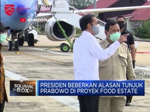 Ini Alasan Presiden Tunjuk Prabowo di Proyek Food Estate