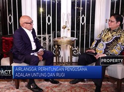 Curhat Airlangga Hartarto, Beda Rasa Jadi Pebisnis & Pejabat