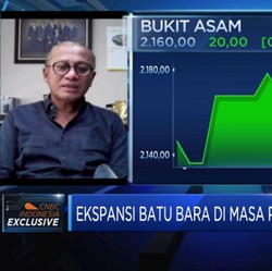 Harga Batu Bara Anjlok, PTBA Siap Pangkas Produksi