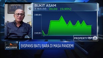 Harga Batu Bara Anjlok, PTBA Siap Pangkas Produksi
