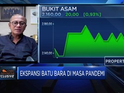 Harga Batu Bara Anjlok, PTBA Siap Pangkas Produksi