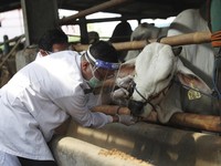 Kemenag: Idul Adha 2020 Jatuh Pada Jumat 31 Juli 2020
