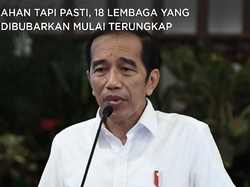 18 Lembaga Negara yang Mau Dibubarkan Jokowi Mulai Terungkap