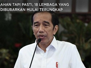 18 Lembaga Negara yang Mau Dibubarkan Jokowi Mulai Terungkap
