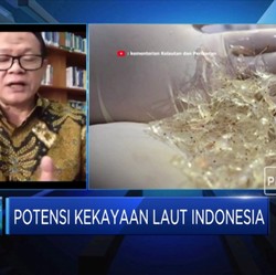 Sudah Tepatkah Pencabutan Larangan Ekspor Benih Lobster?