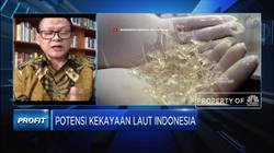 Sudah Tepatkah Pencabutan Larangan Ekspor Benih Lobster?