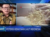 Sudah Tepatkah Pencabutan Larangan Ekspor Benih Lobster?