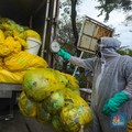 Gunung Limbah APD dan Sampah Plastik Hantui RI