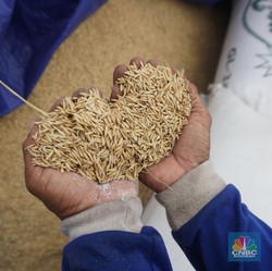 Investor Wajib Tahu, 5 Sektor Startup yang Berkembang di RI