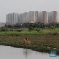 Digilas Tol & Bandara, Petani RI Makin Krisis Lahan