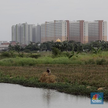 Jangan Kaget, Jangan Heran! Ternyata Jakarta Masih Ada Sawah