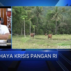 Ini Alasan Jokowi Pilih Prabowo Pimpin Program Lumbung Pangan