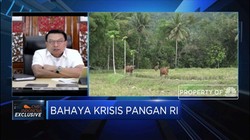 Ini Alasan Jokowi Pilih Prabowo Pimpin Program Lumbung Pangan