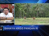 Ini Alasan Jokowi Pilih Prabowo Pimpin Program Lumbung Pangan
