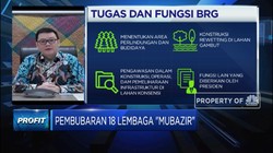 Disebut Akan Dibubarkan, Ini Fungsi Badan Restorasi Gambut