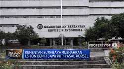 Kementan Musnahkan 1,5 Ton Benih Sawi Putih Asal Korsel