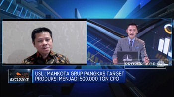Lockdown Dibuka, MGRO Optimistis Harga CPO Membaik di Q3-2020