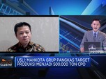 Target Produksi CPO 500 Ribu Ton, MGRO Sasar 70% Pasar Lokal
