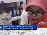 UMKM Susah Dapat Modal, Luhut Sentil Perbankan