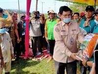 Genjot Produksi Padi, Kementan Lakukan Percepatan Tanam