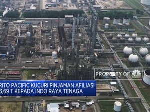 BRPT Beri Pinjaman USD 252 Juta Kepada Indo Raya Tenaga