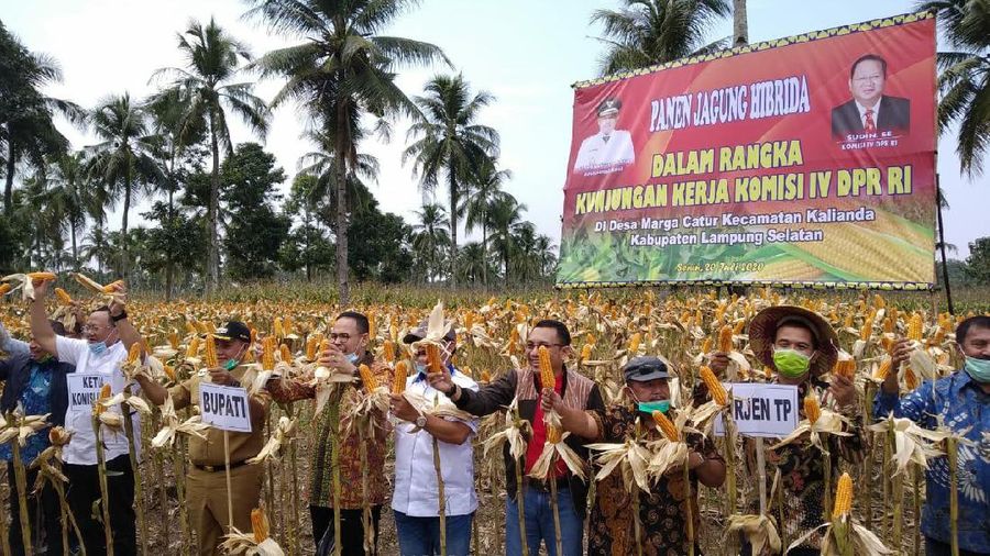 Dok: Kementan