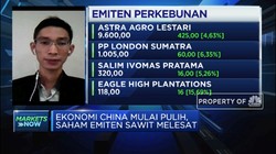 Ekonomi China Mulai Pulih, Saham Emiten Sawit Melesat Naik