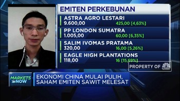 Ekonomi China Mulai Pulih, Saham Emiten Sawit Melesat Naik