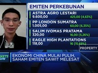 Ekonomi China Mulai Pulih, Saham Emiten Sawit Melesat Naik