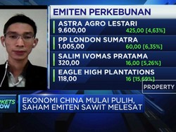 Ekonomi China Mulai Pulih, Saham Emiten Sawit Melesat Naik